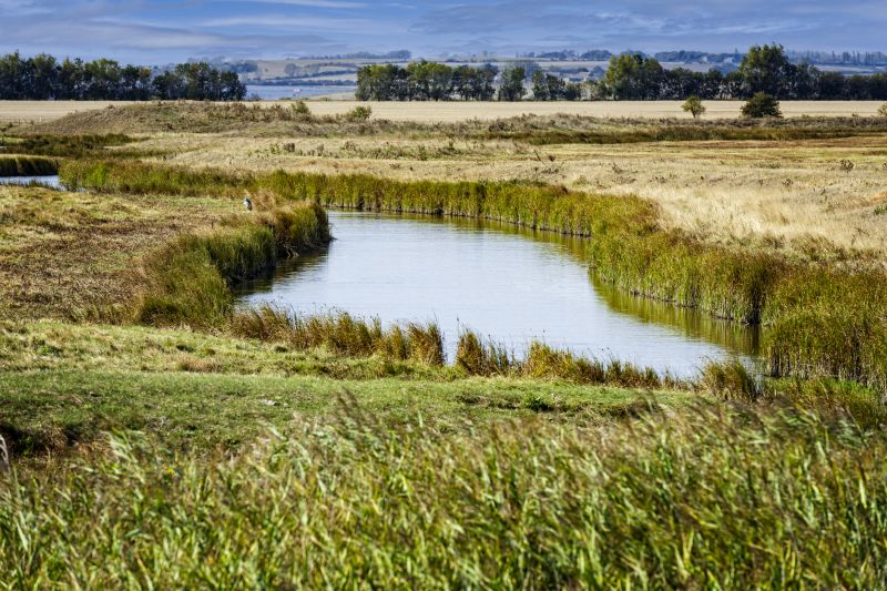 Swale Drainage
